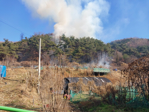 성주 산불. 산림청 제공