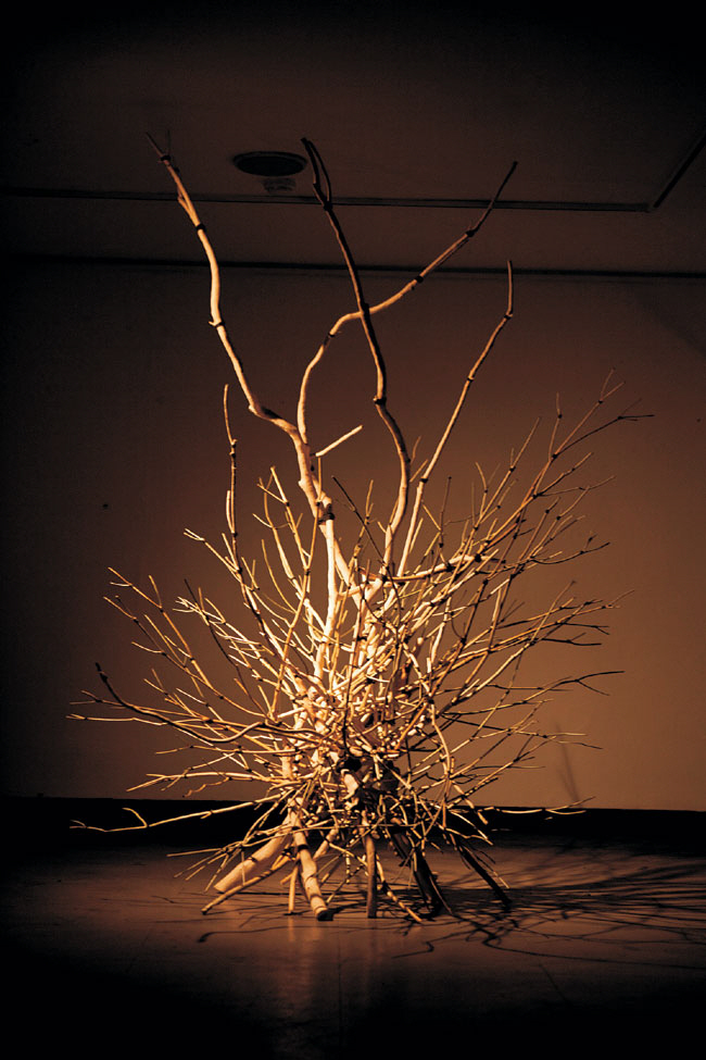 시간의숲, 백일홍나무, 삼지닥나무, 150×150×240(h)㎝, 2013.