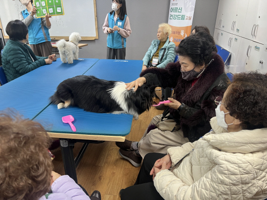 송파2동 반려동물 교감치료에 참여한 어르신들이 강아지와 즐거운 시간을 보내고 있다. 송파구청 제공