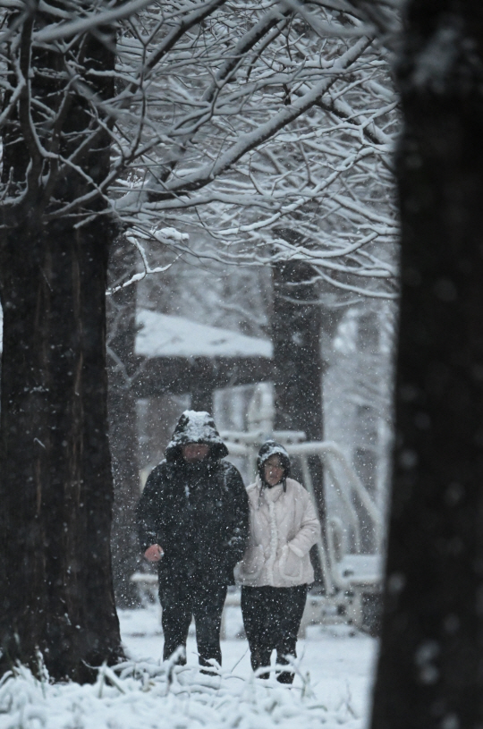 광주 지역에 대설주의보가 내려진 16일 오후 광주 북구 문흥동 맥문동길에서 시민들이 눈을 맞으며 길을 걷고 있다. 뉴시스