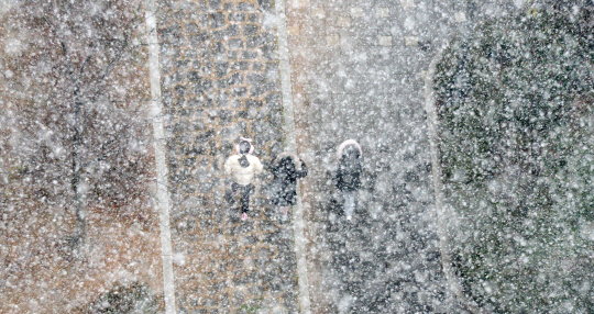 전북 곳곳에 대설주의보가 내린 16일 전북 전주시 덕진구 세병로에 많은 양의 눈이 내리고 있다. 뉴시스