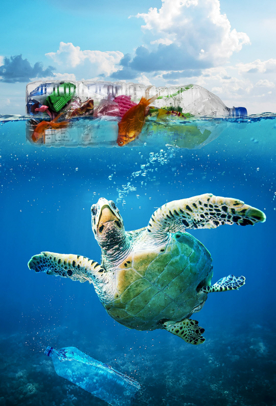 <작품명: 거북>. 한국조폐공사 제공