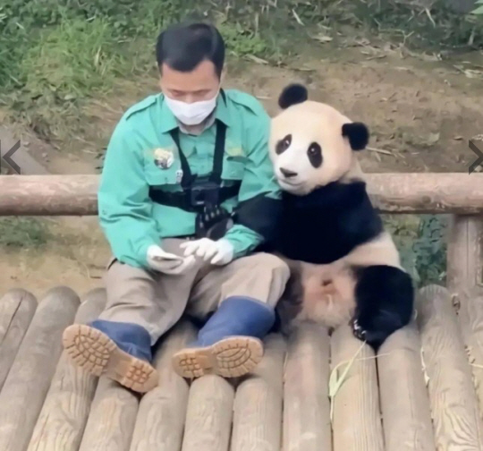바이두 캡처