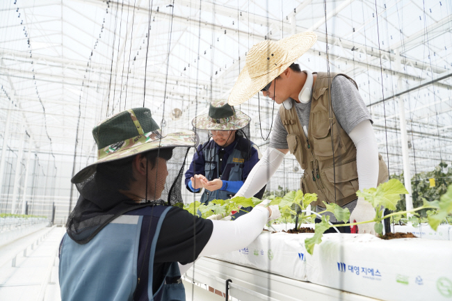 경북 상주시 상주스마트팜 혁신밸리 내 스마트팜에서 청년농부들이 농작물을 재배하고 있다.  경북도청 제공