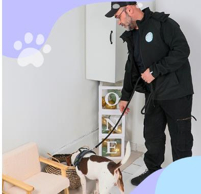 프랑스 탐지견 업체 홈페이지 캡처