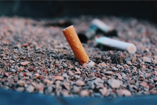 게티이미지뱅크