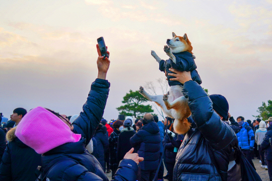 2024 배봉산 해맞이 행사에서 반려견과 기념촬영을 하는 주민들. 동대문구청 제공