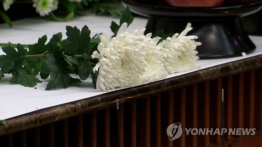 국화[연합뉴스TV 제공]