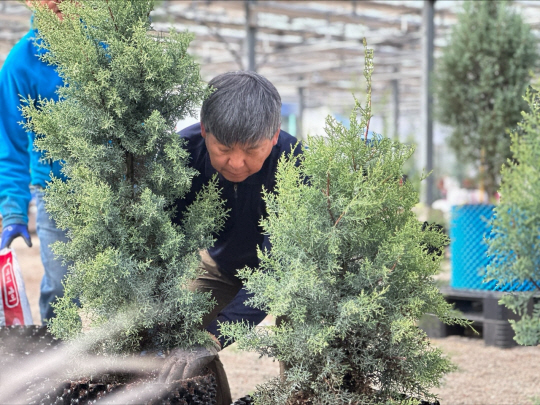 강원도 춘천시 남면 강촌 2000평 유리온실 피톤치드 치유 팜 ‘마인바움’(Mein Baum·독일어로 ‘내 나무’)에서 김영식 전 1군사령관이 자신의 묘목인 썰프레아 나무를 돌보고 있다.. 김영식 예비역 대장 제공