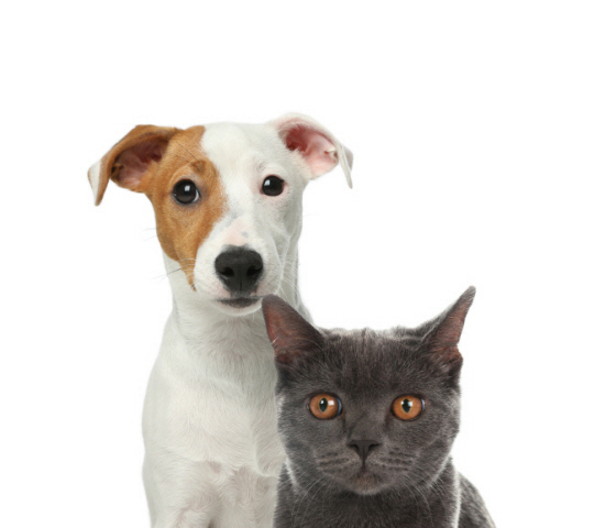 게티이미지뱅크