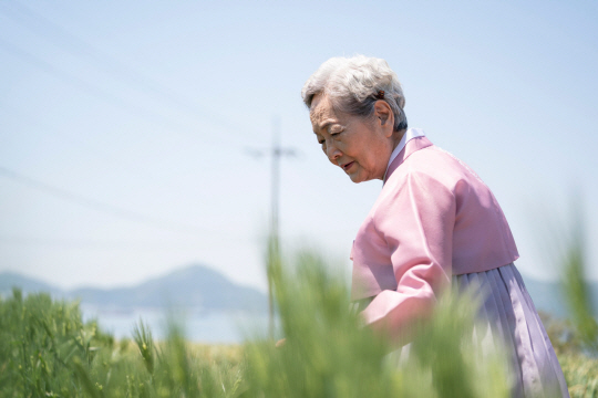 영화 ‘소풍’ 롯데엔터테인먼트 제공
