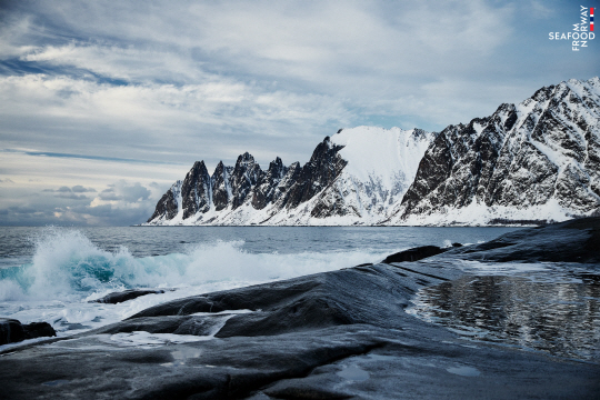 노르웨이수산물위원회 제공