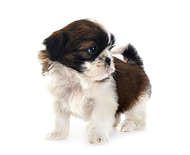 게티이미지뱅크