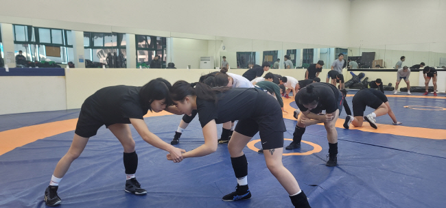 지난 16일 제주의 한 체육관에서 경기주택도시공사 레슬링팀 선수들이 훈련하고 있다. GH 제공