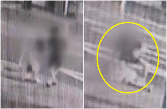 지난 19일 새벽 송파구 한 주택가에서 도망가는 전 여자친구를 붙잡아 마구 폭행하는 20대 남성. MBN 보도화면 캡처