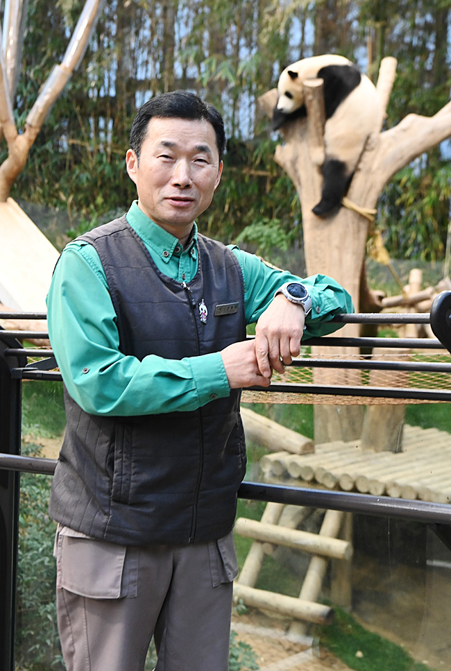 나무의 초록 잎과 기둥 색을 연상시키는 유니폼을 입은 강철원 사육사가 지난 7일 경기 용인시 에버랜드 판다월드 방사장 내에서 ‘엄마 나무’를 끌어안은 채 자고 있는 푸바오를 배경으로 포즈를 취하고 있다. 김동훈 기자