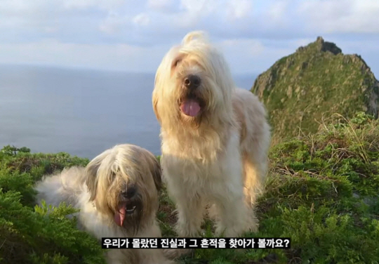 김남길-서경덕 교수가 만든 삽살개 영상