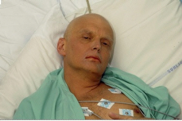 알렉산드르 리트비넨코. 텔레그래프