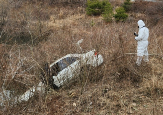 충북소방본부 제공