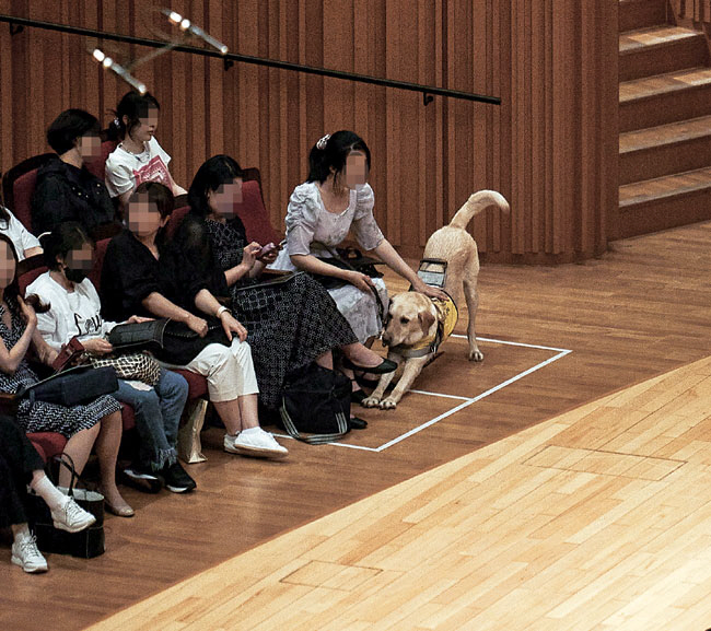 안내견과 공연을 관람 중인 관객.  롯데콘서트홀 제공