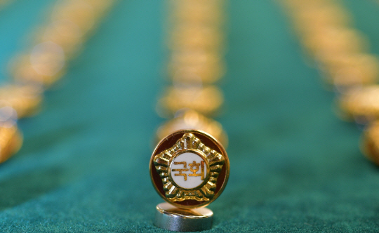 국회의원 배지. 뉴시스