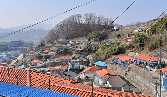 삼척항을 내려다보는 언덕 위의 정라동 달동네. 레트로 느낌의 ‘나릿골 감성마을’로 단장됐다.