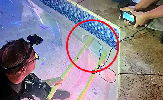 미국 텍사스의 한 유명 호텔 수영장에서 8살 소녀가 파이프에서 익사한 상태로 발견됐다. 미국 CBS 보도화면