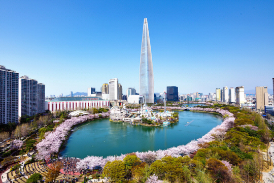 서울 송파구에서 지난해 열린 ‘호수 벚꽃축제’ 모습. 송파구청 제공