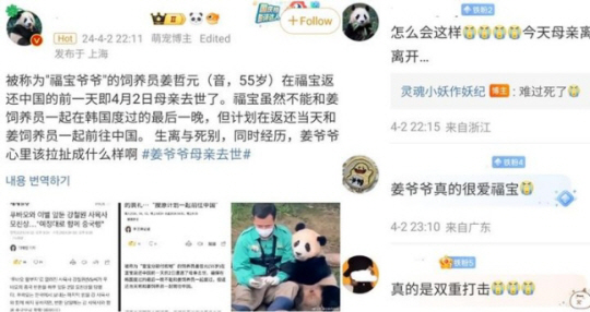3일 한국을 떠나 중국으로 가는 푸바오와 동행한 강철원 사육사가 전날 모친상을 당한 데 대해 중국 누리꾼들이 올린 애도의 글. 웨이보 캡처
