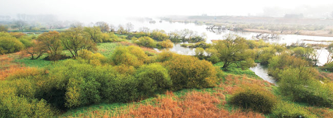곡성이 자랑하는 명소인 침실습지. 봄, 가을이면 이른 아침 물안개로 황홀한 경관을 만날 수 있는 곳이다. 한자로 ‘잠자는 방’을 뜻하는 ‘寢室(침실)’이라고 쓰는데, 주변의 지명에 따른 것이다.