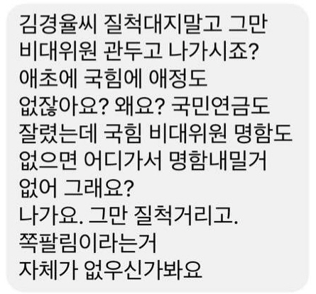 김경율 페이스북 캡처