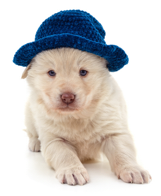 게티이미지뱅크