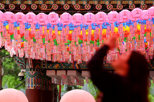 불기 2568년 부처님 오신 날(5월15일)을 앞둔 21일 서울 종로구 조계사를 찾은 불자들이 형형색색의 연등에 붙은 소원지를 보고 있다. 문호남 기자