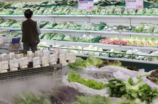 21일 경제협력개발기구(OECD) 자료를 보면 지난 2월 기준 한국의 ‘식료품 및 비주류음료’ 물가 상승률은 6.95%로 OECD 평균(5.32%)을 웃돌며 35개 회원국 중 3번째로 높았다. 이날 서울 한 대형마트에서 소비자가 채소를 살펴보고 있다. 연합뉴스