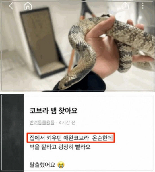 서울경찰청 제공 JTBC 캡처