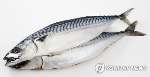 연합뉴스
