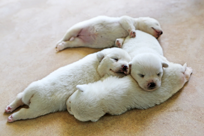 게티이미지뱅크