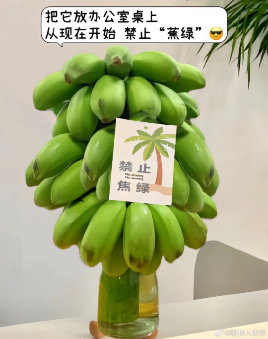 사진출처 : 웨이보 캡처