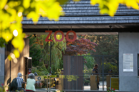기사와 직접 관련없는 사진. 게티이미지 뱅크