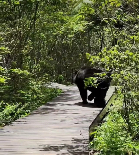 온라인 커뮤니티 캡처