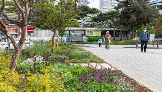 29일 시민들이 서울 송파구 잠실나루역 인근에 조성된 매력정원 옆을 걸어가고 있다. 송파구청 제공