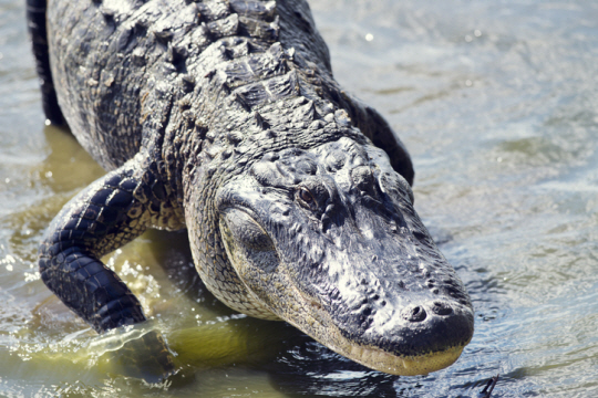 게티이미지뱅크