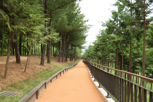 연지근린공원에 조성된 황톳길.구로구청 제공