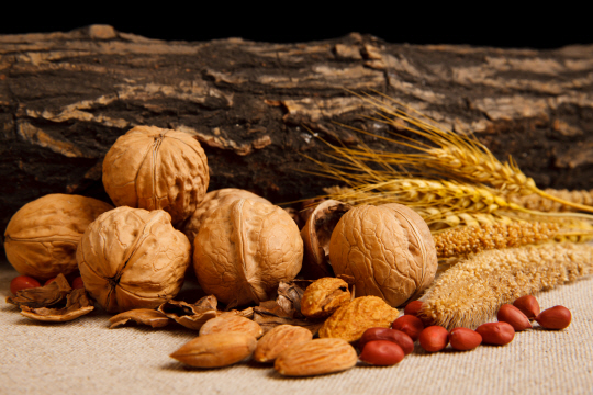 게티이미지뱅크