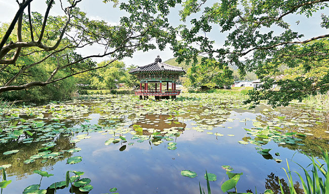 진주 용산리의 용호정원. 100년 전쯤 중국 쓰촨성의 무산 12봉을 모티브로 만들었다.