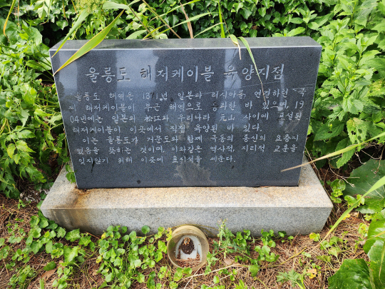 경북 울릉도 사동의 일제 침탈 상징물로 수풀에 방치된 ‘울릉도 해저 케이블 육양지점’ 표지석 .서경덕 교수팀 제공