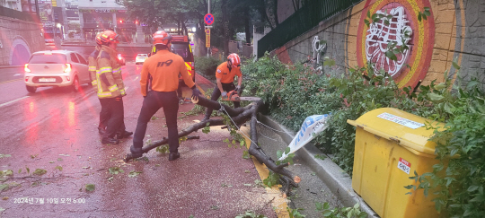 10일 오전 부산 사상구 주례동 도로에서 소방 119 대원들이 강풍에 쓰러진 나무의 해체 작업을 하고 있다. 부산소방재난본부 제공