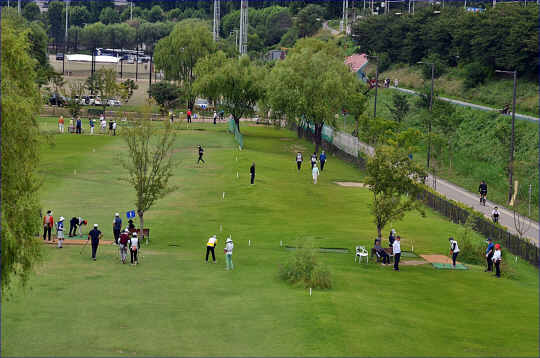 안양천 파크골프장에서 주민들이 파크골프를 하고 있다. 영등포구청 제공