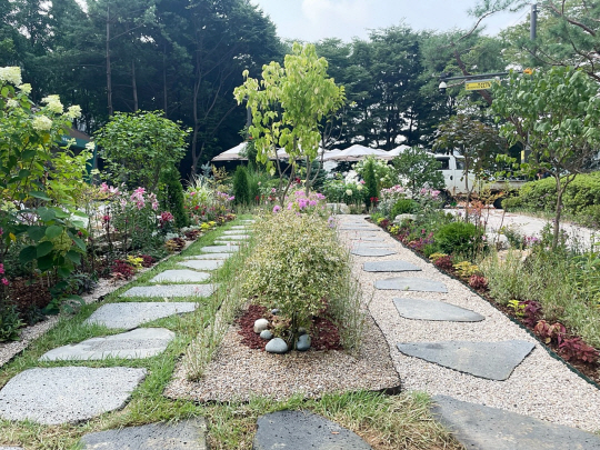 서울 노원구의 비석골휴가든 두갈래 길. 노원구청 제공