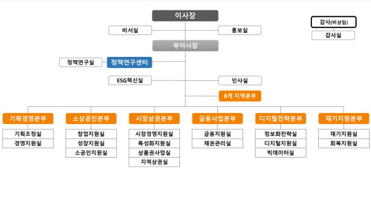 소상공인시장진흥공단 개편된 조직도. 소진공 제공